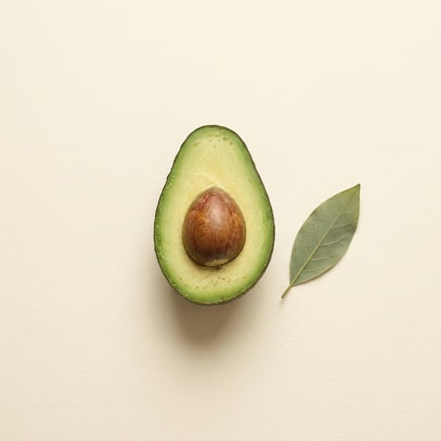 Avocado — Persea Gratissima