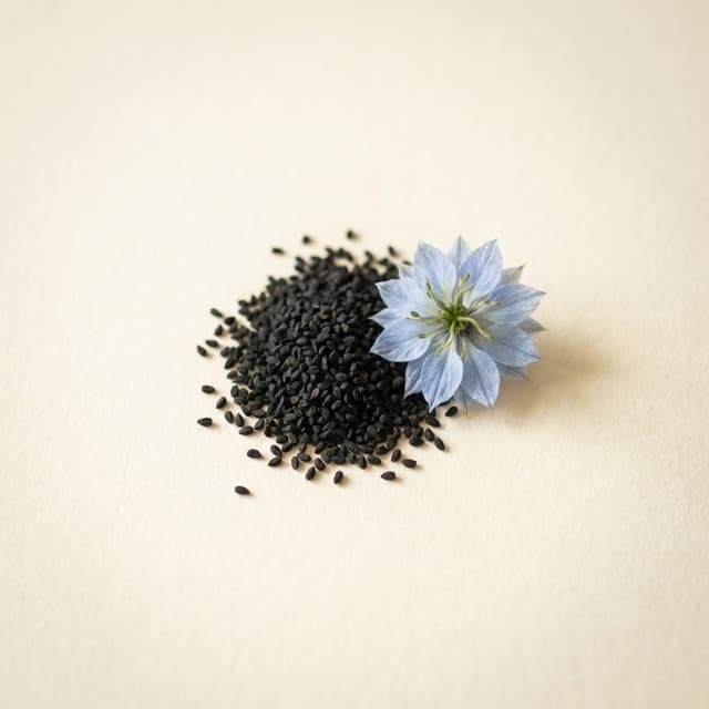 Black Seed — Nigella Sativa